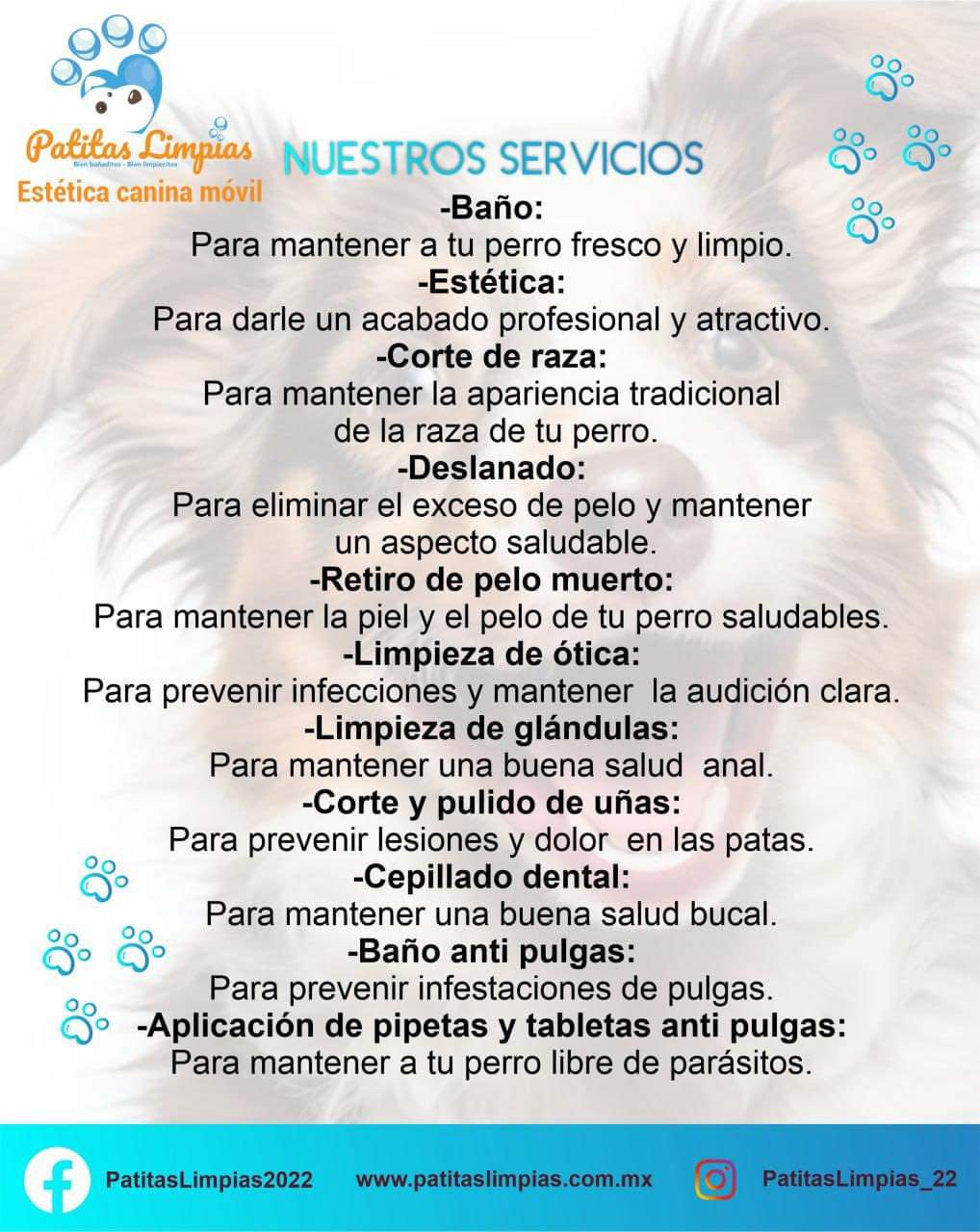 Agenda tu cita para tu mascota en la Unidad Móvil Canina de Patitas Limpias