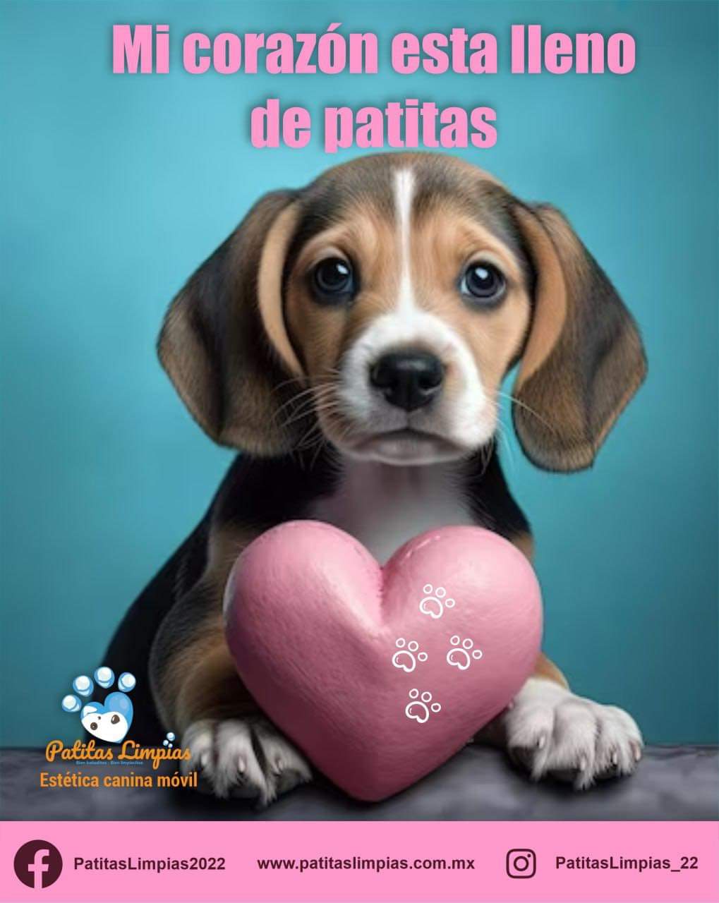 Agenda tu cita para tu mascota en la Unidad Móvil Canina de Patitas Limpias
