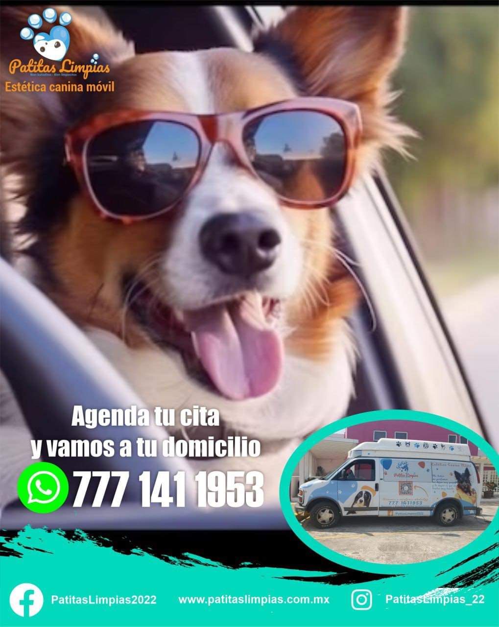 Agenda tu cita para tu mascota en la Unidad Móvil Canina de Patitas Limpias