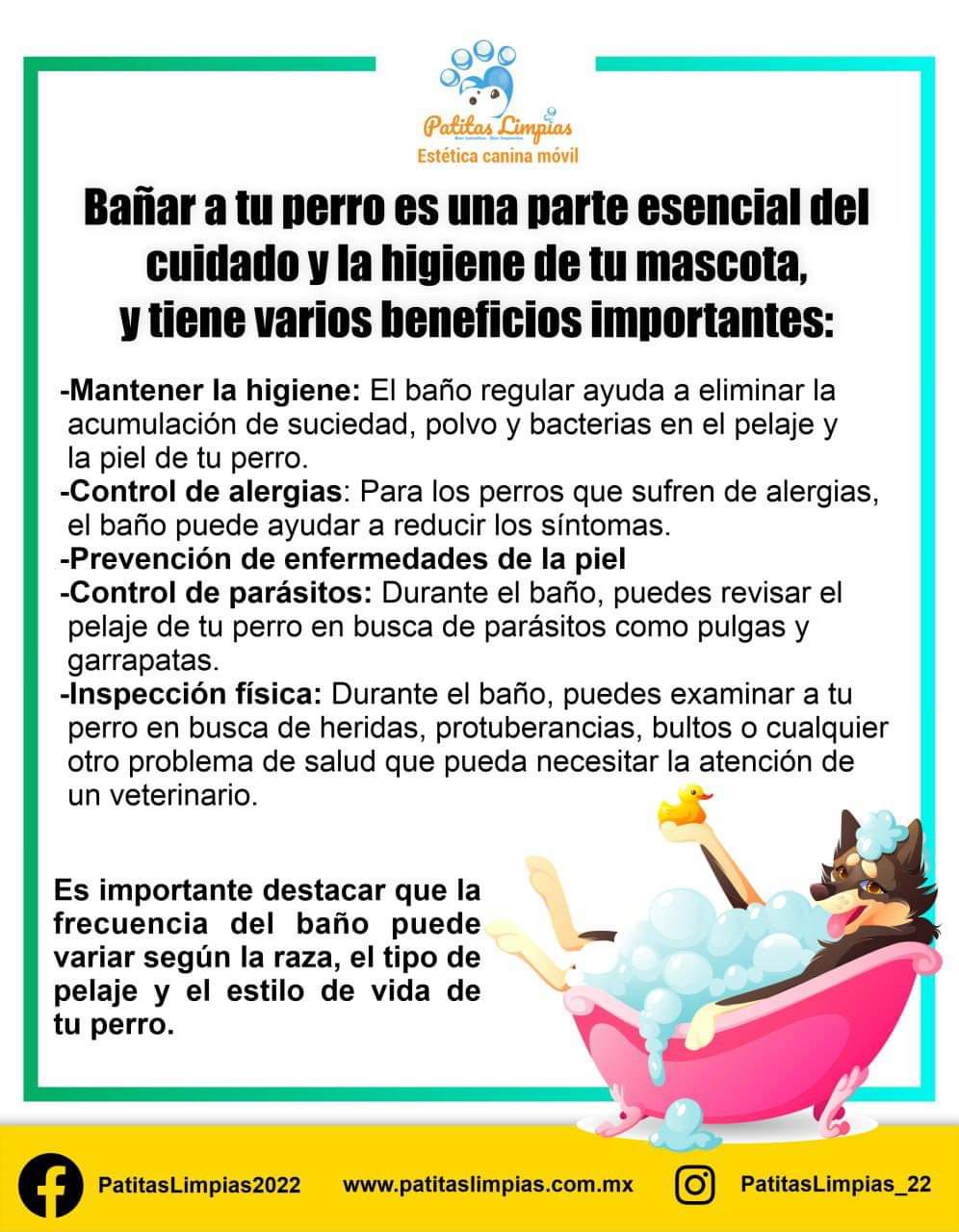 Agenda tu cita para tu mascota en la Unidad Móvil Canina de Patitas Limpias