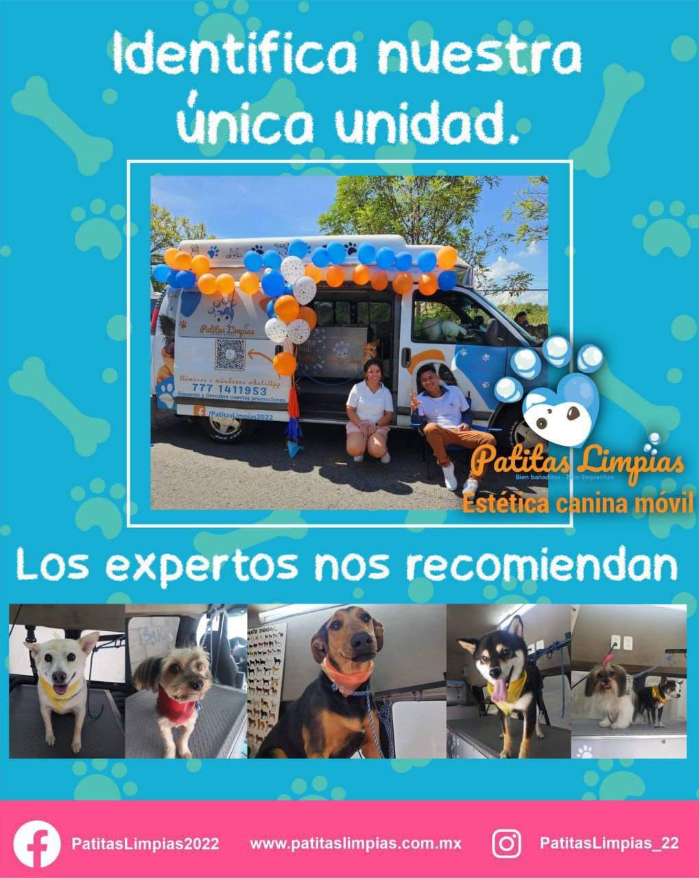 Agenda tu cita para tu mascota en la Unidad Móvil Canina de Patitas Limpias