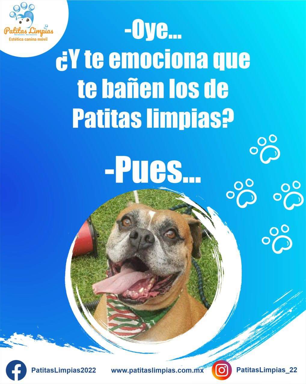 Agenda tu cita para tu mascota en la Unidad Móvil Canina de Patitas Limpias