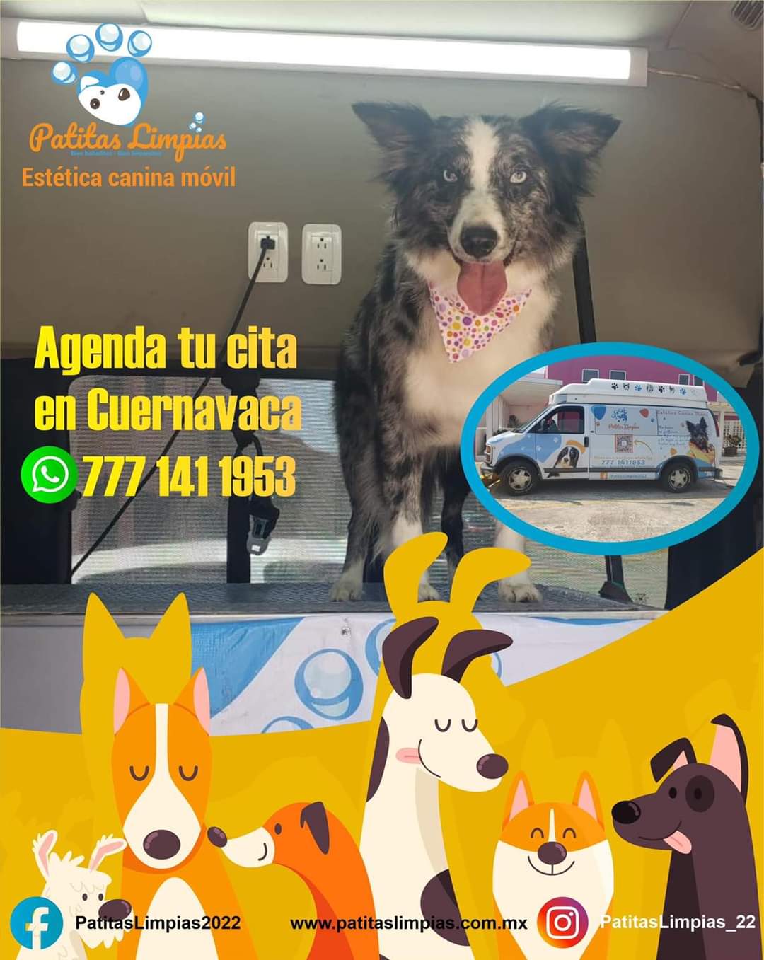 Agenda tu cita para tu mascota en la Unidad Móvil Canina de Patitas Limpias