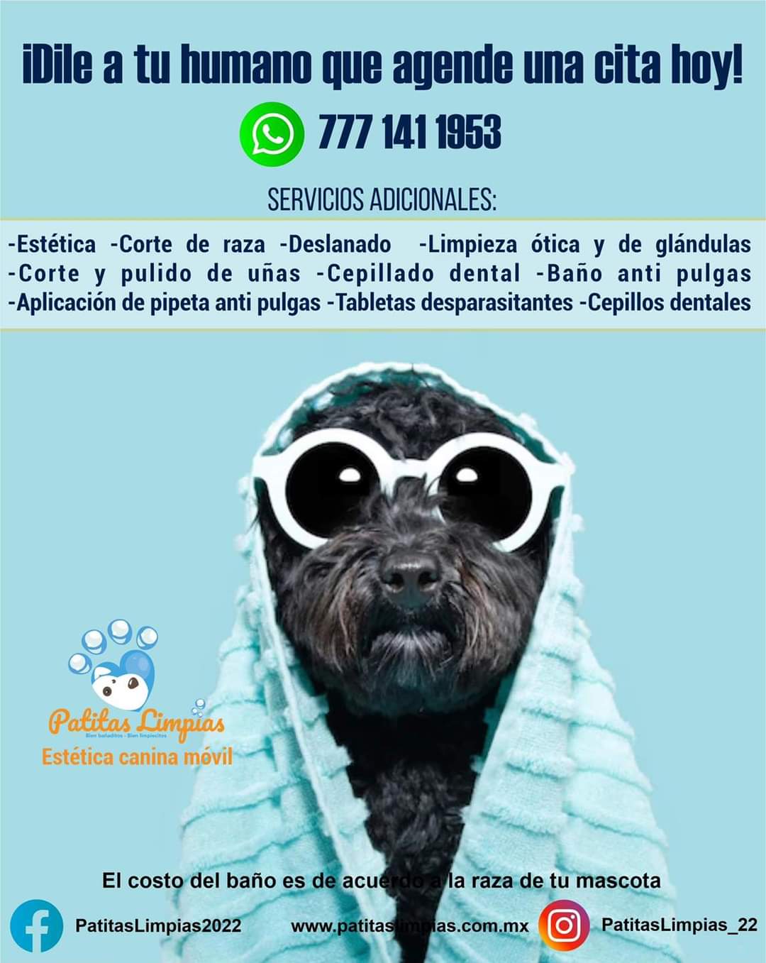 Agenda tu cita para tu mascota en la Unidad Móvil Canina de Patitas Limpias