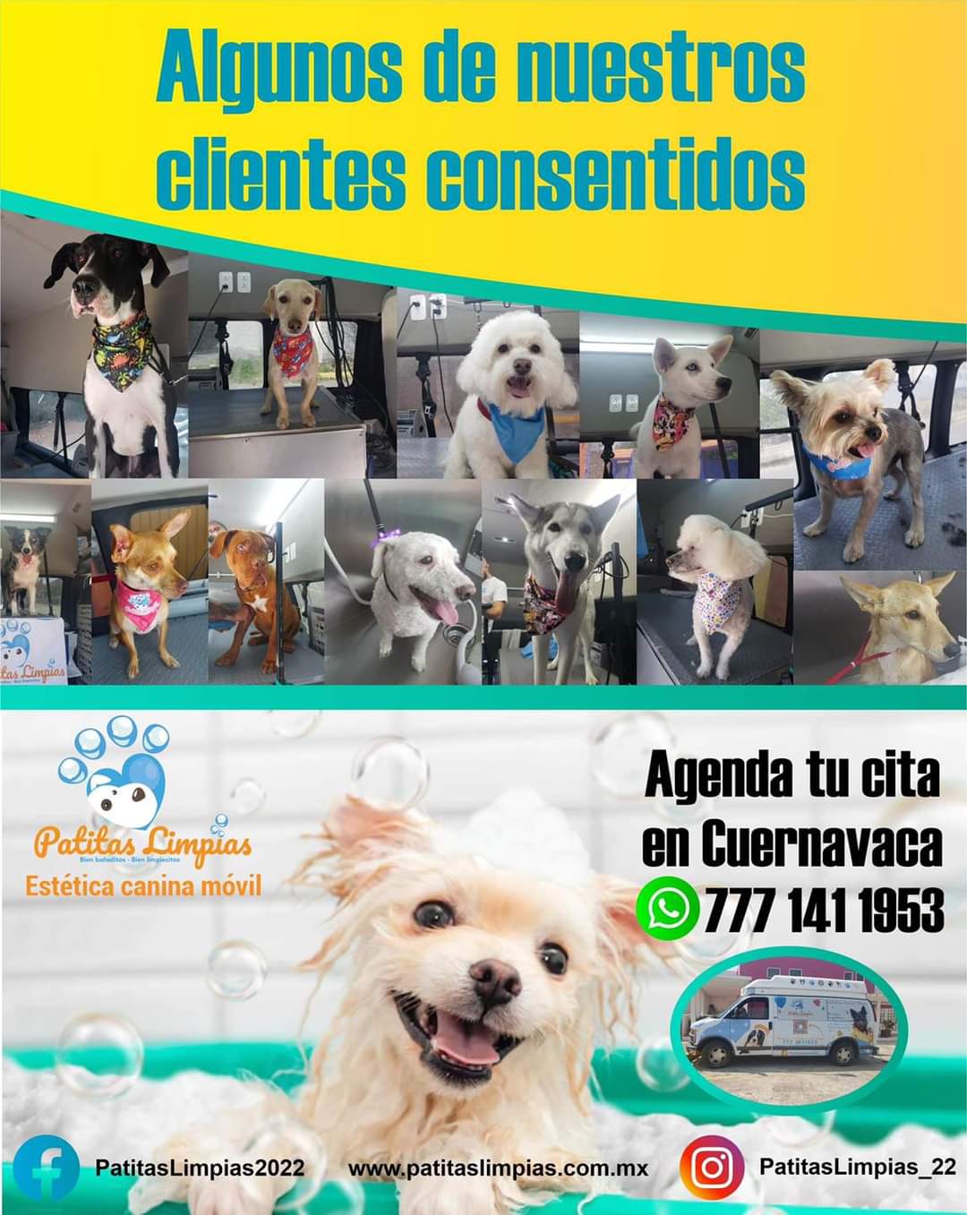 Agenda tu cita para tu mascota en la Unidad Móvil Canina de Patitas Limpias