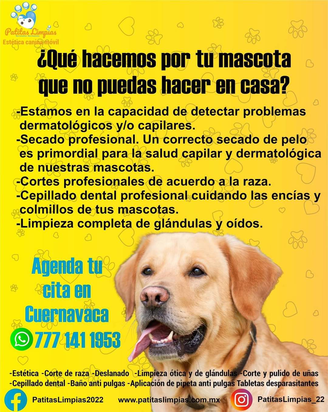 Agenda tu cita para tu mascota en la Unidad Móvil Canina de Patitas Limpias