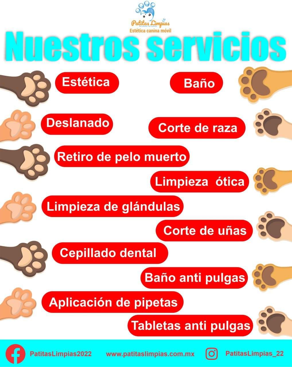 Agenda tu cita para tu mascota en la Unidad Móvil Canina de Patitas Limpias