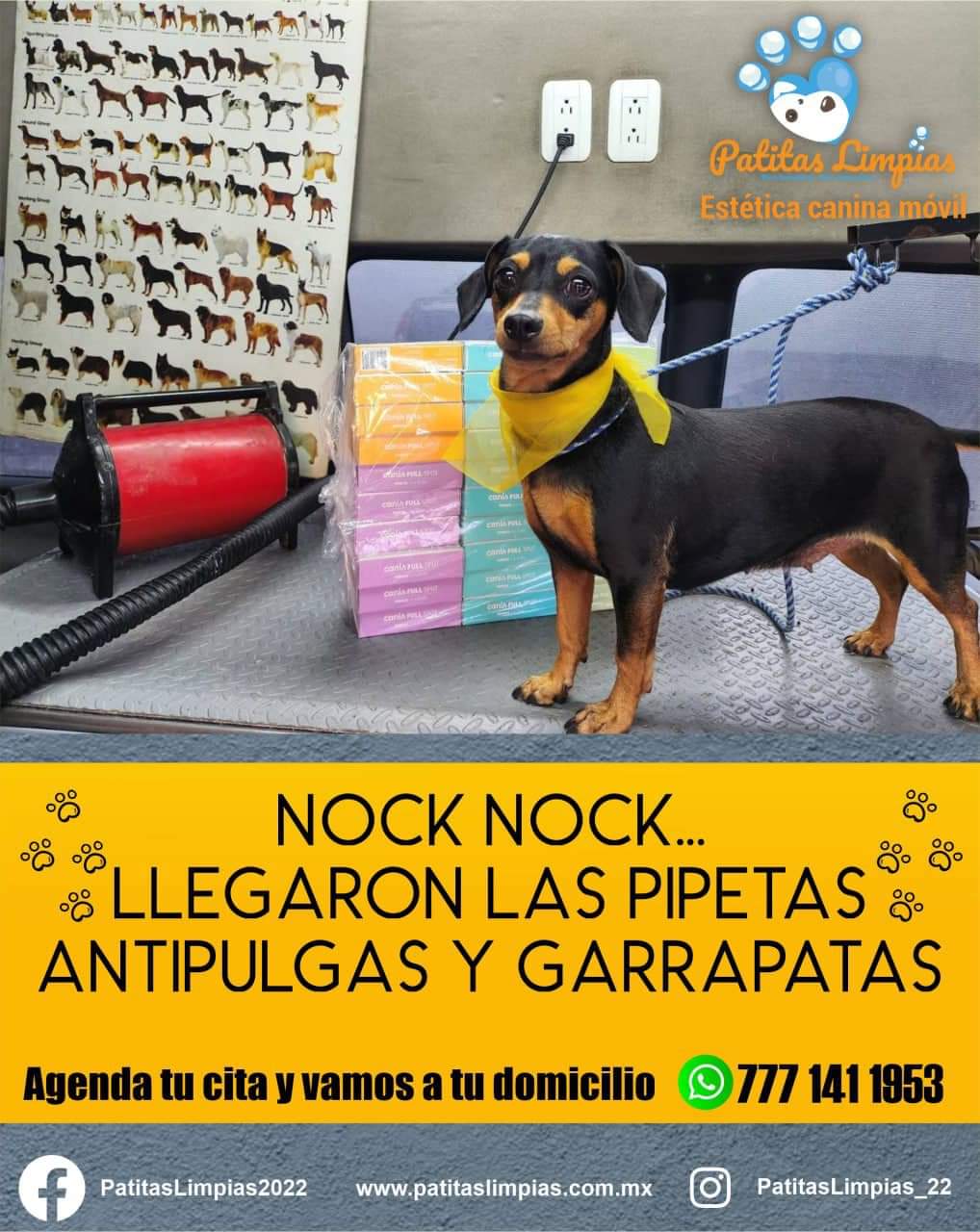 Agenda tu cita para tu mascota en la Unidad Móvil Canina de Patitas Limpias